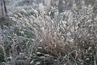 Similar image 2889336