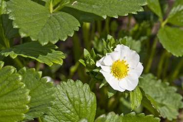 Similar image 2889337