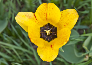 Similar image 2889347