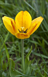 Similar image 2889348