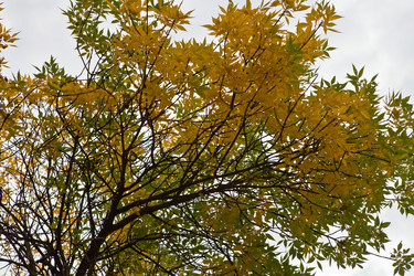 Similar image 2889349