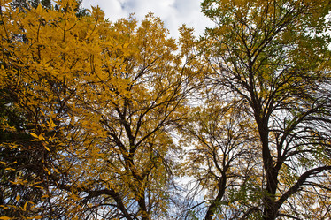 Similar image 2889350