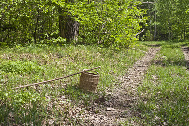 Similar image 2889351