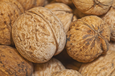 Similar image 2889352