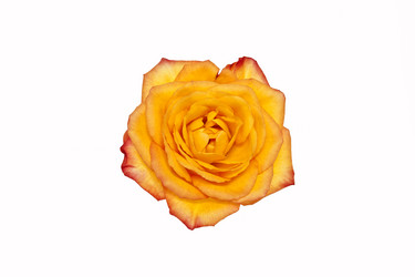 Similar image 2889354