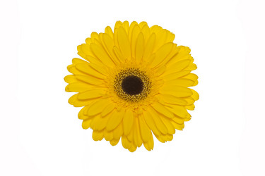 Similar image 2889355