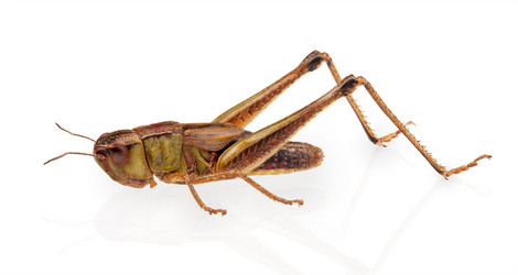 Similar image 2889413