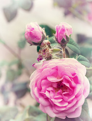 Similar image 2889415