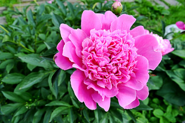 Similar image 2889426