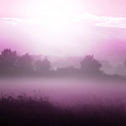 Similar image 2889440