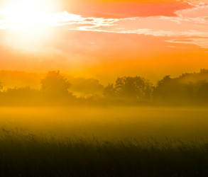 Similar image 2889441