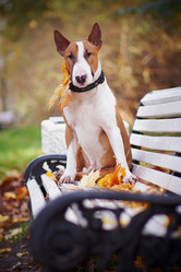 Similar image 2889463