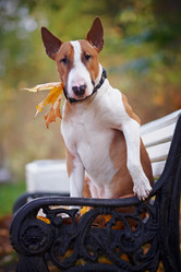 Similar image 2889465