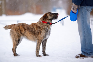 Similar image 2889483