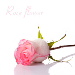 Similar image 2889504