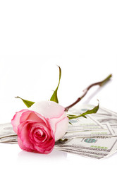 Similar image 2889506