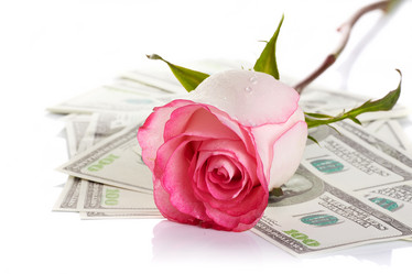 Similar image 2889507