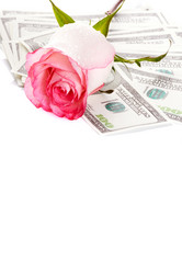 Similar image 2889508