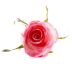 Similar image 2889510