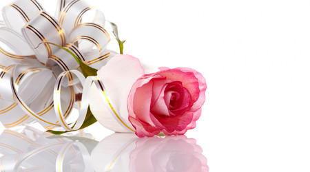 Similar image 2889520