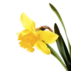 Similar image 2889524