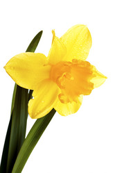 Similar image 2889529