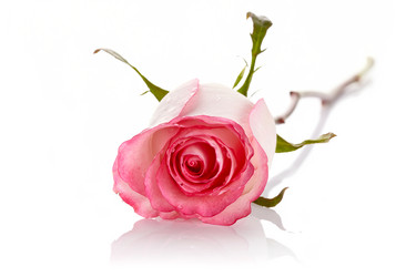 Similar image 2889533