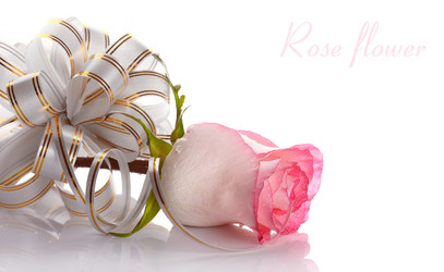 Similar image 2889537