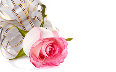 Similar image 2889539