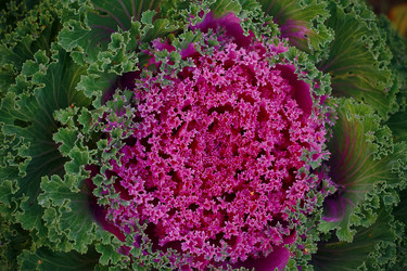 Similar image 2889560