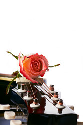 Similar image 2889576