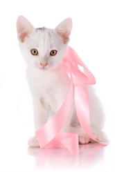 Similar image 2889581