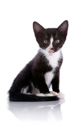 Similar image 2889582