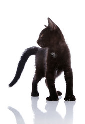 Similar image 2889585