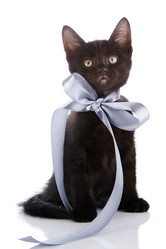 Similar image 2889599