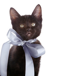 Similar image 2889600