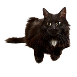 Similar image 2889607