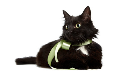 Similar image 2889613