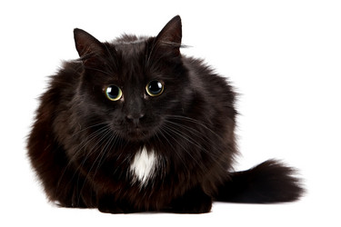 Similar image 2889617