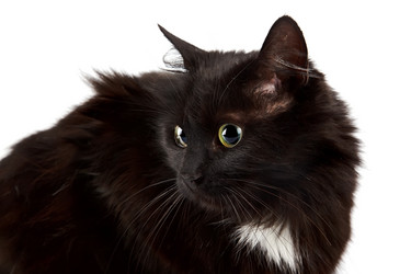 Similar image 2889620