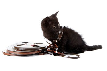 Similar image 2889626