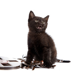 Similar image 2889629