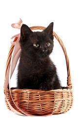 Similar image 2889635