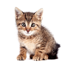 Similar image 2889644