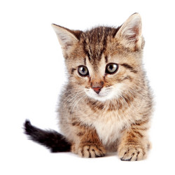 Similar image 2889651