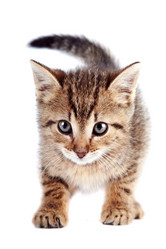 Similar image 2889652