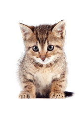 Similar image 2889655