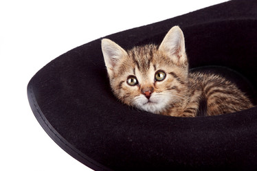 Similar image 2889656