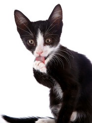 Similar image 2889661