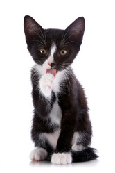 Similar image 2889667